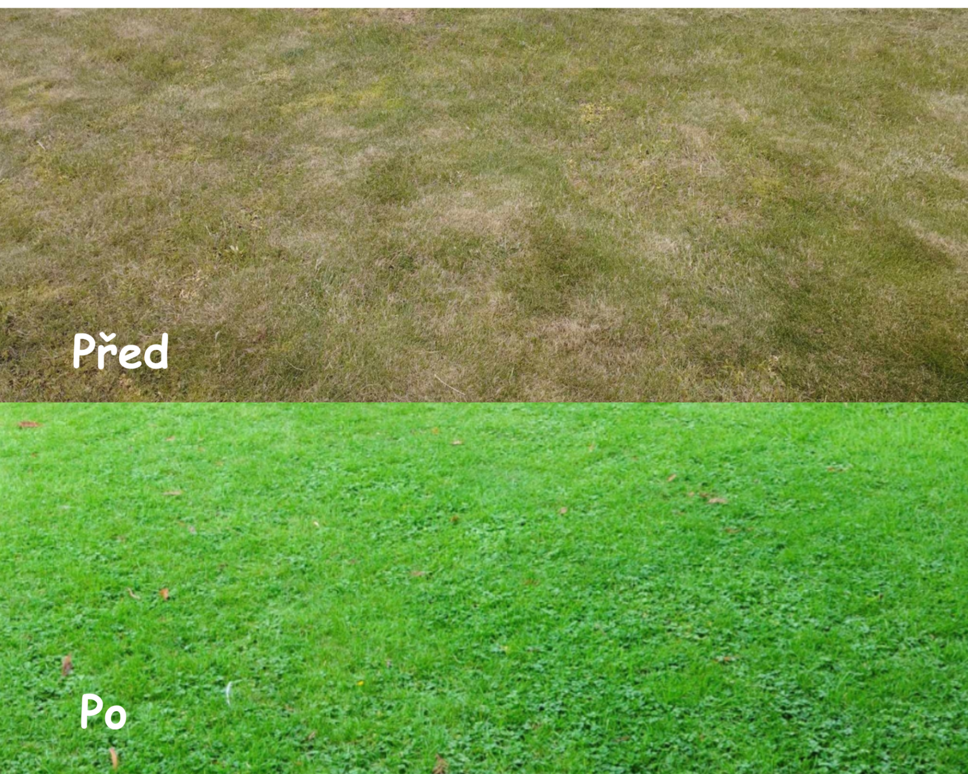 Vertikutace trávníku Karviná