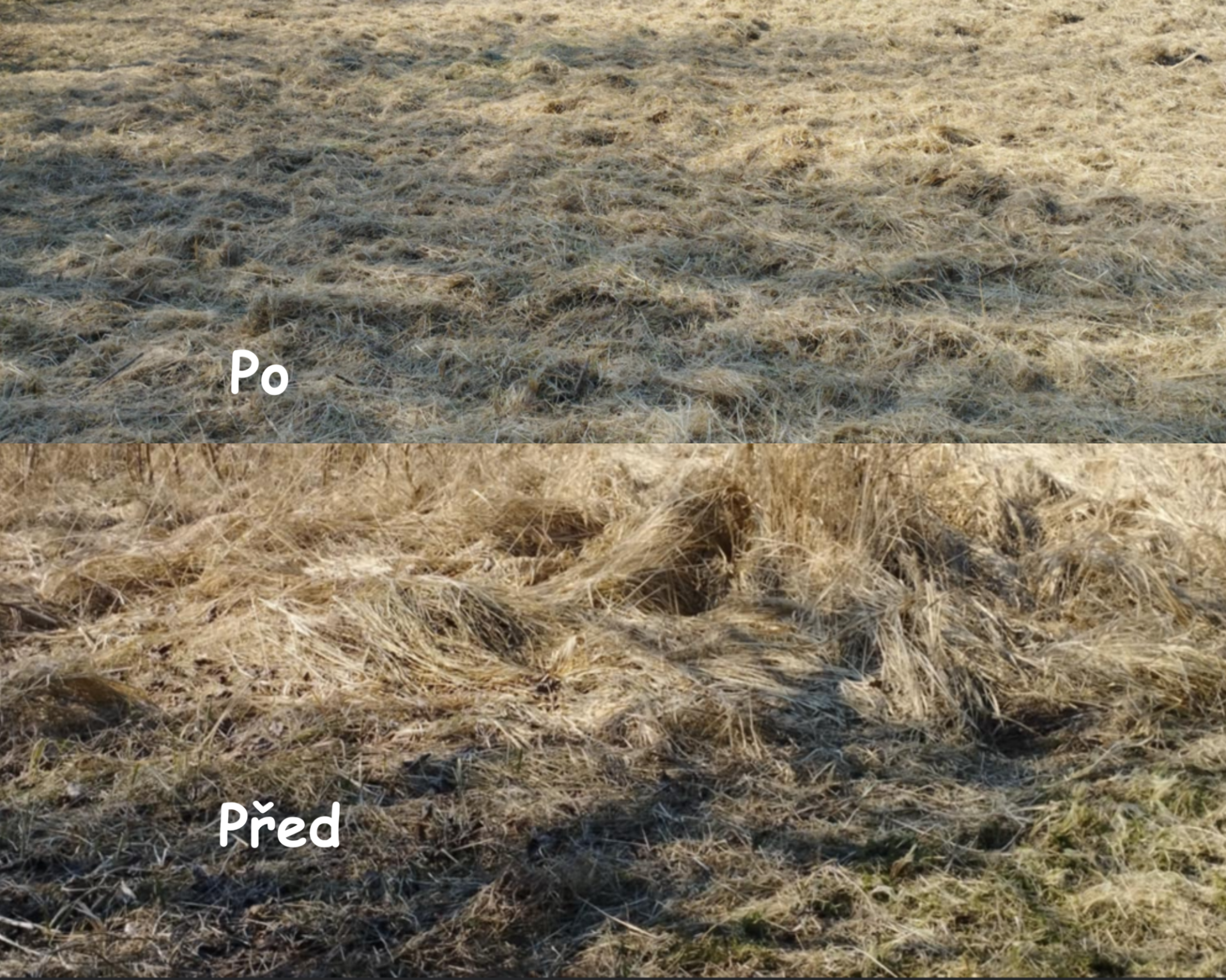 Mulčování pozemků Karviná